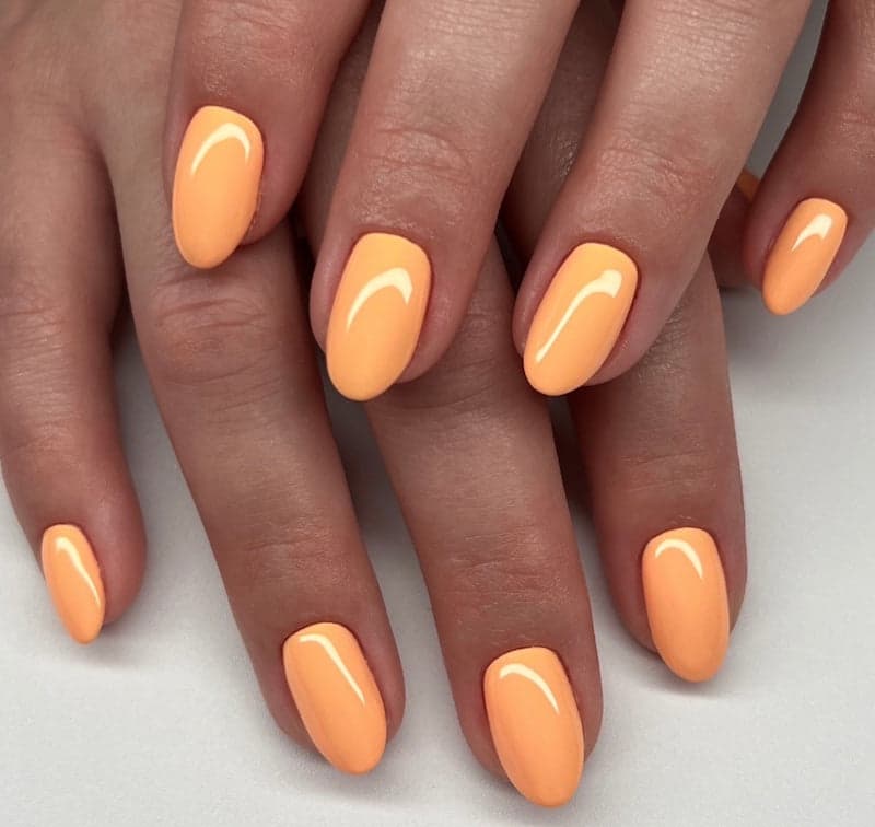 Mandarin Glow #2538 thumbnail 2