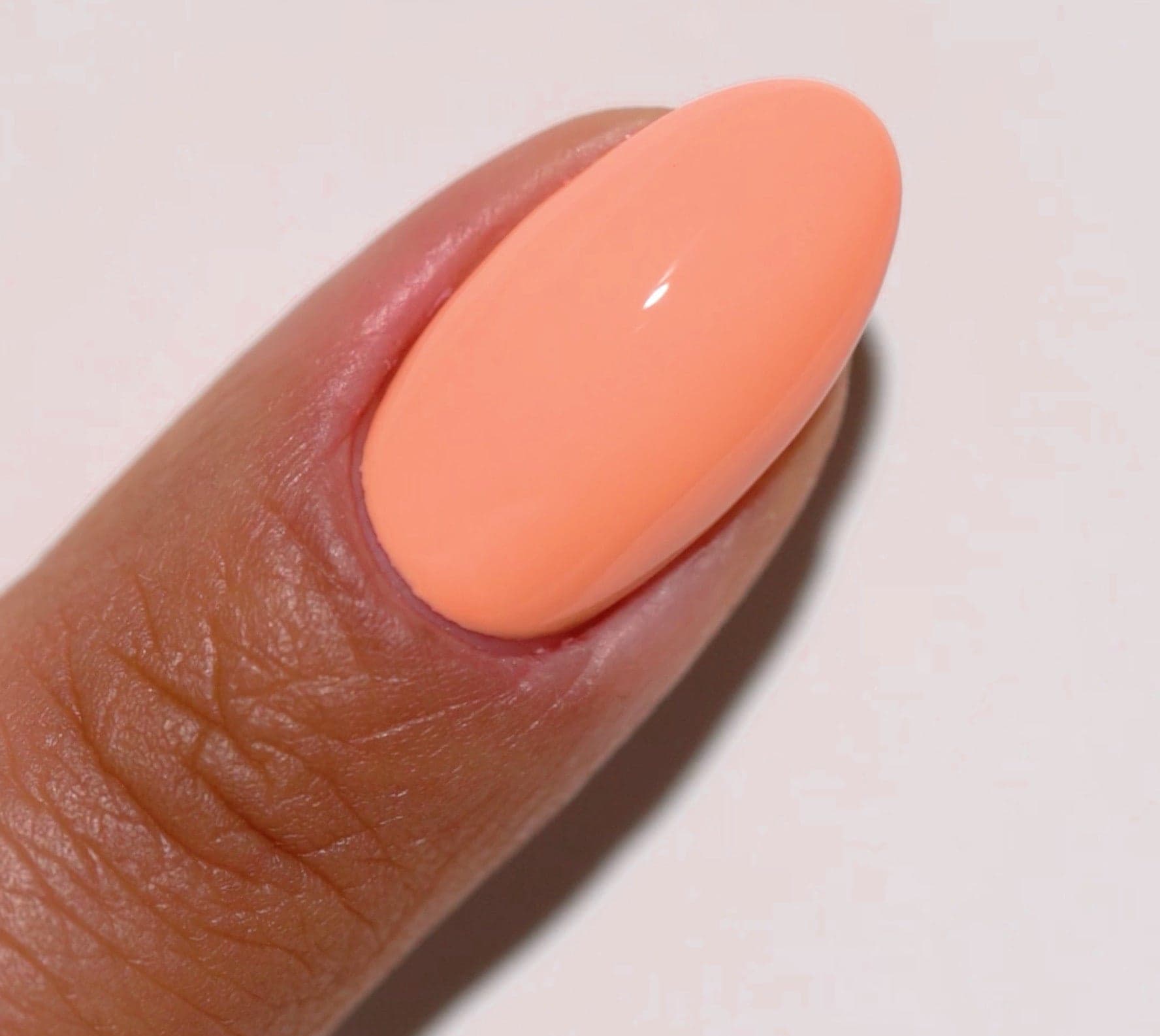 Peach Mimosa DIVA #186 thumbnail 2
