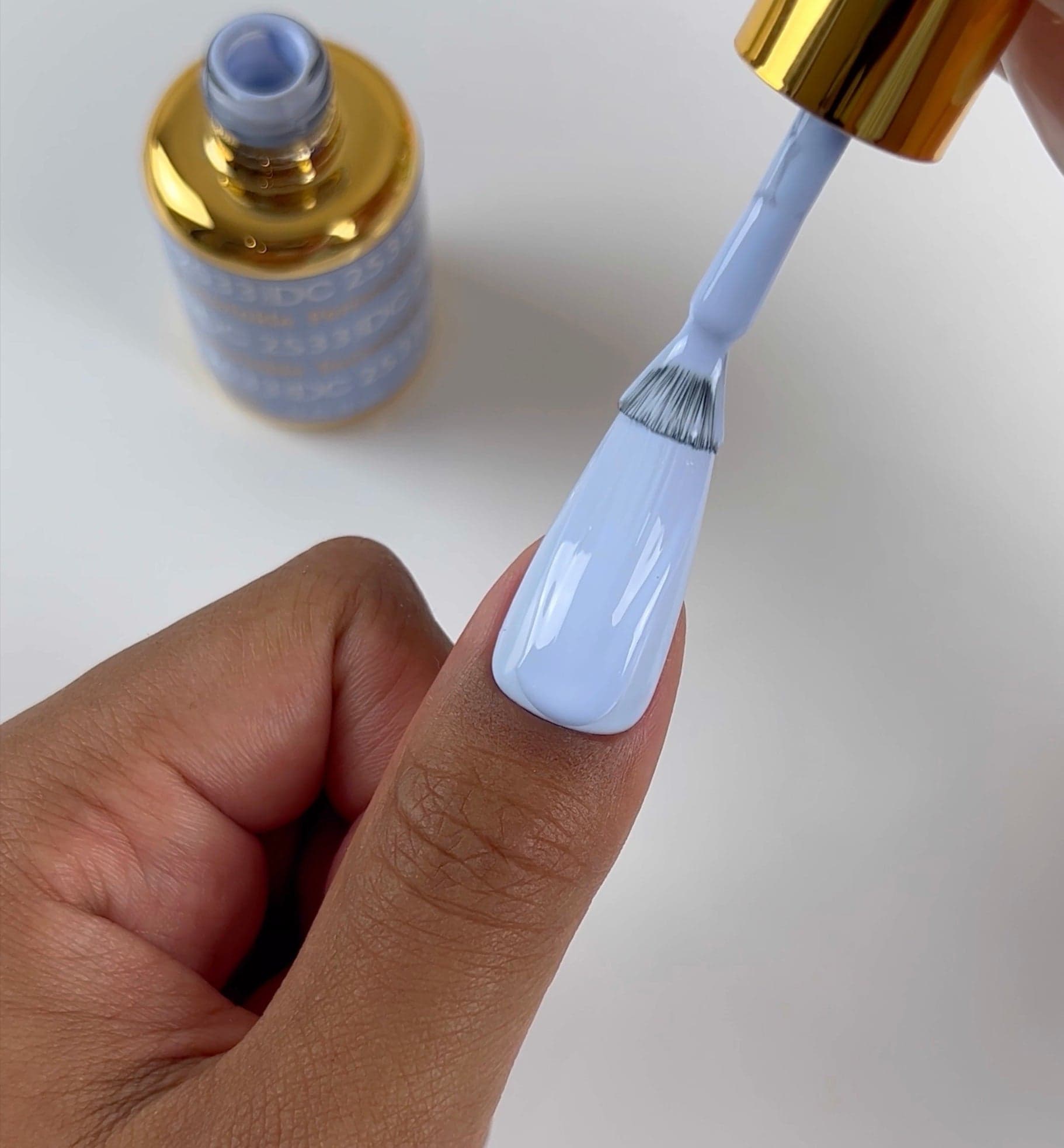 Periwinkle #2533 thumbnail 5