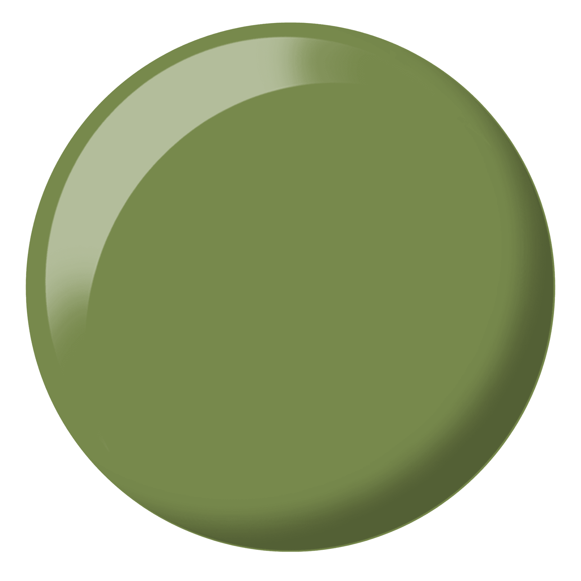 Safari #324